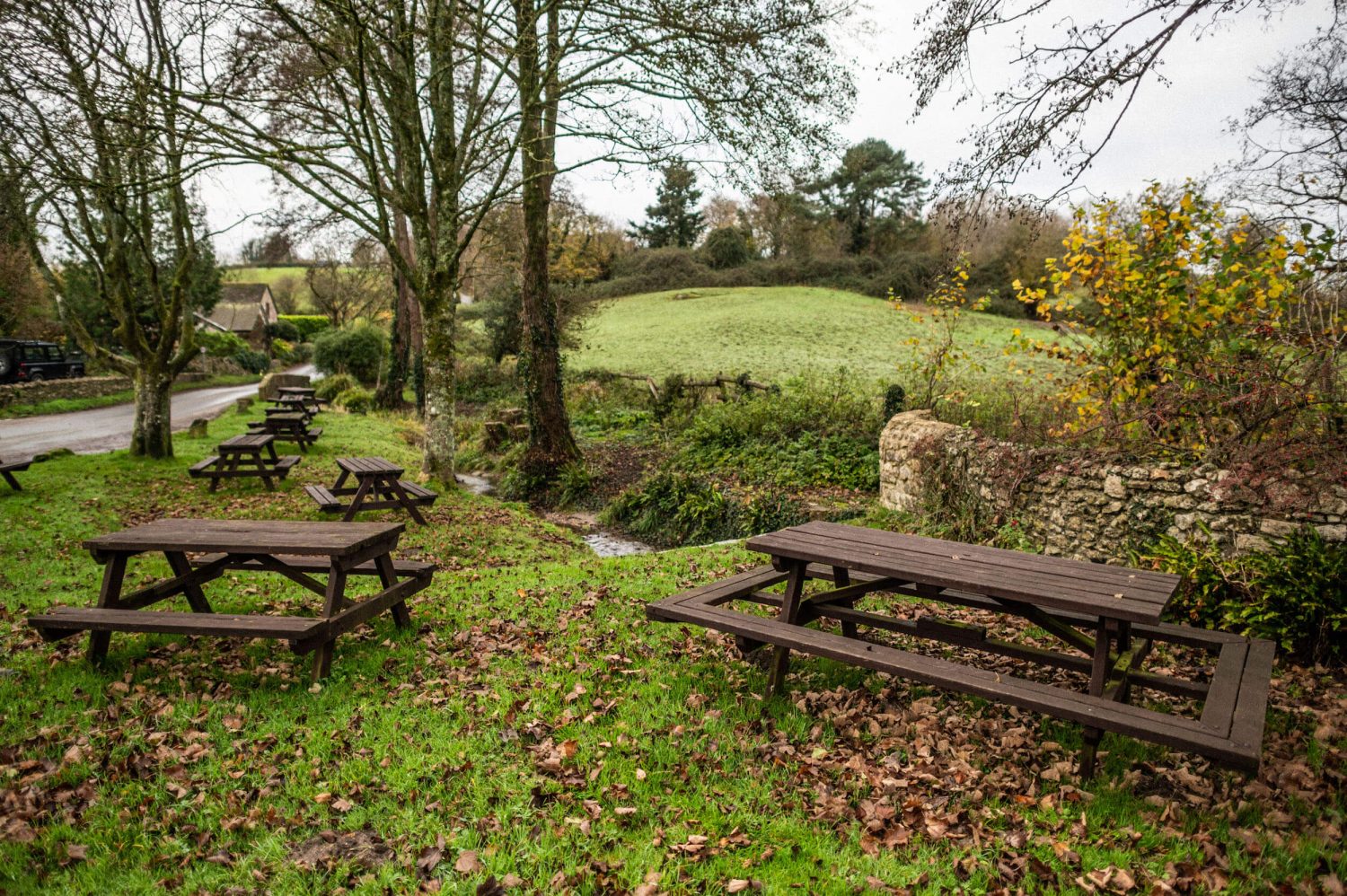 The Fox pub garden